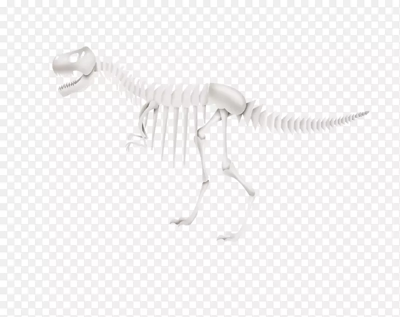白色黑色图案-恐龙骨架