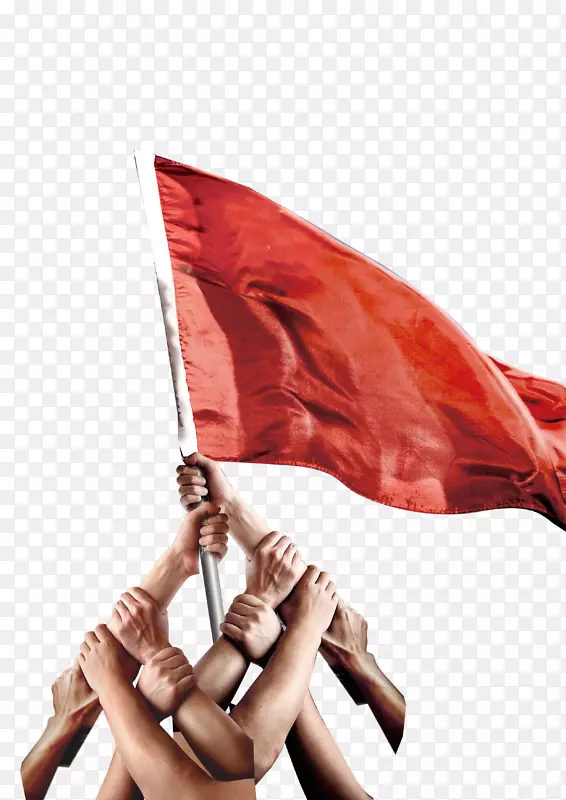 浙江大地钢结构有限公司组织商业行业-红旗