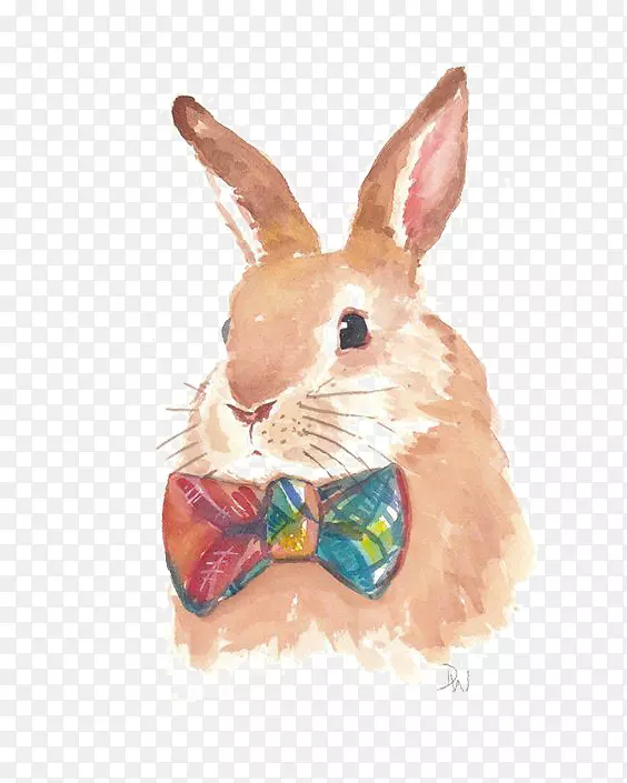 兔水彩画兔画