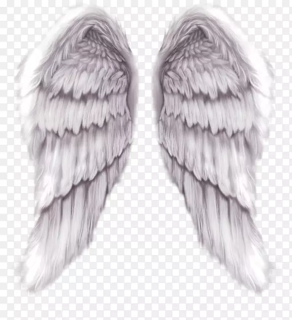 翅膀天使色-翅膀装饰图案8825桌面壁纸