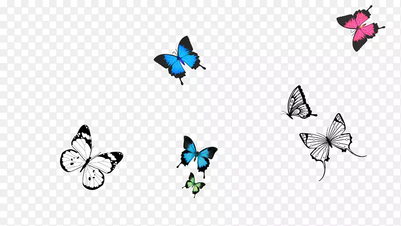 蝴蝶下载-有趣的蝴蝶载体