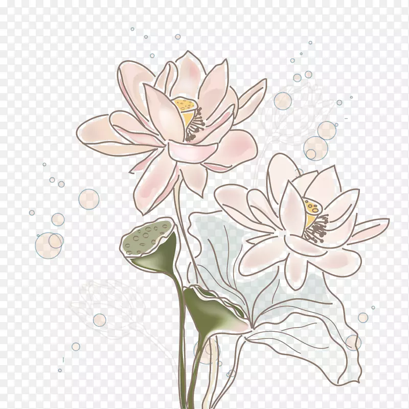 莲花图案-手绘莲花