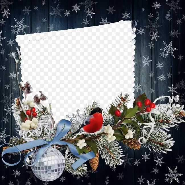 新年圣诞贺卡壁纸-松子雪片装饰材料
