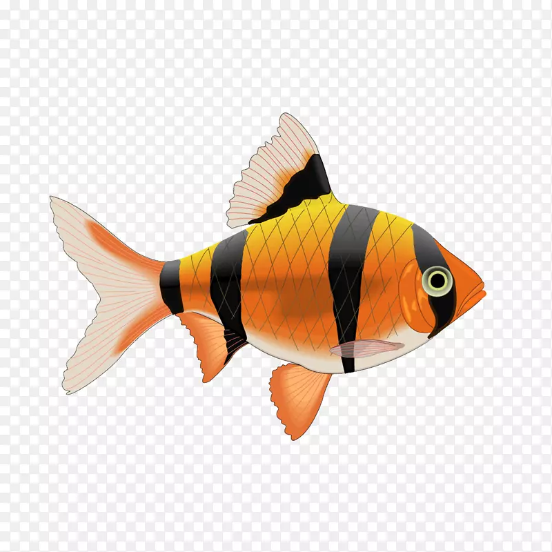热带鱼瓷砖鱼贴花鱼