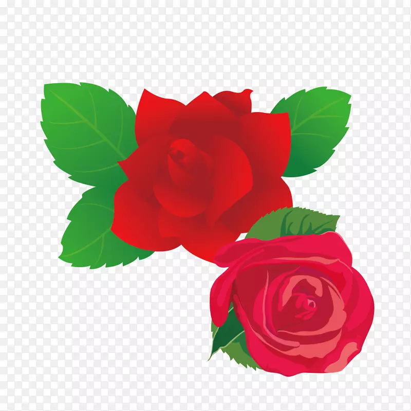 玫瑰花夹艺术-花束