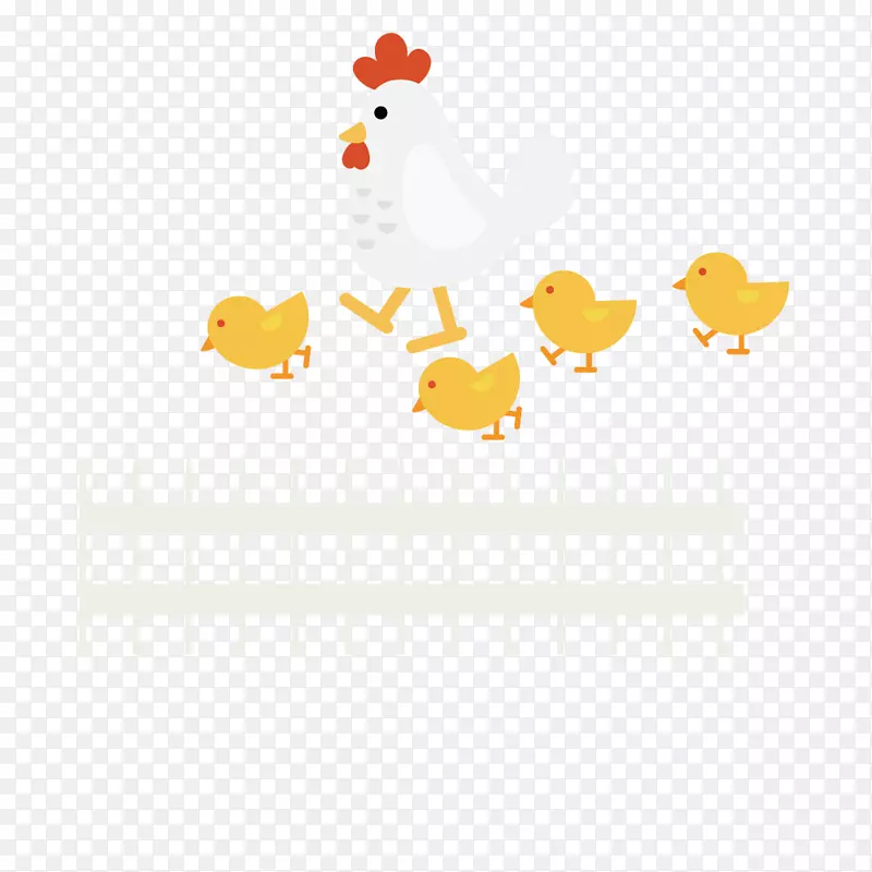 鸡黄白插图-公鸡