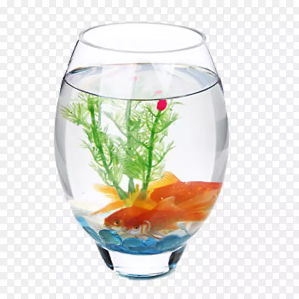 水族馆玻璃鱼装饰艺术植物和鱼缸中的装饰图案