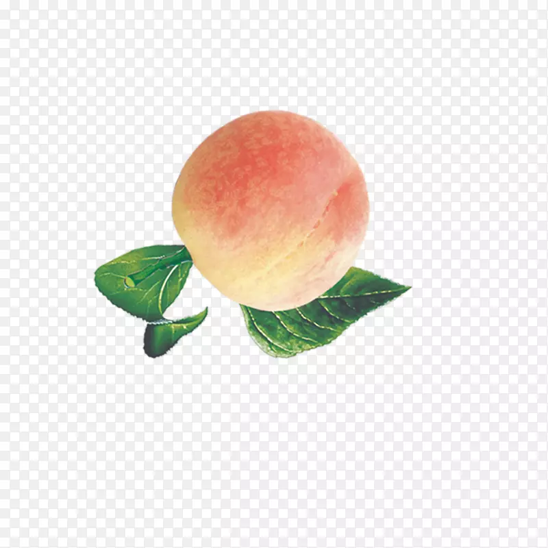 下载壁纸-新鲜桃子