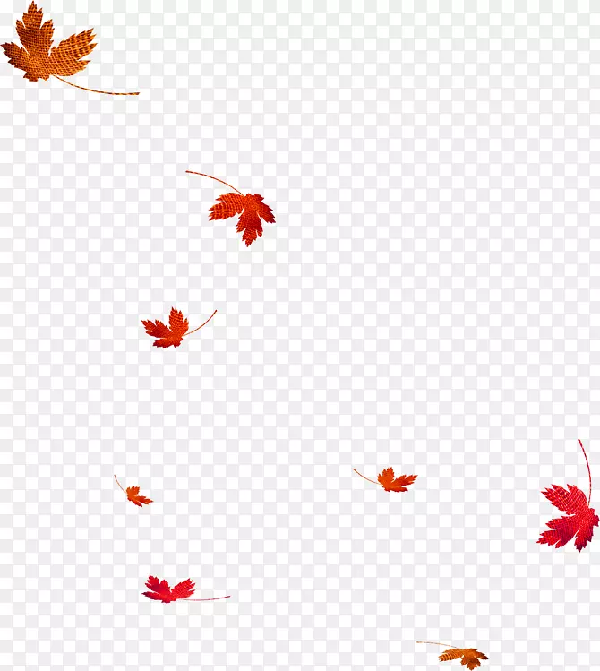 叶秋剪贴画-红棕色简单枫叶漂浮材料