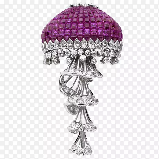 梵克莱夫和阿皮尔斯耳环手表珠宝钻石紫罗兰项链