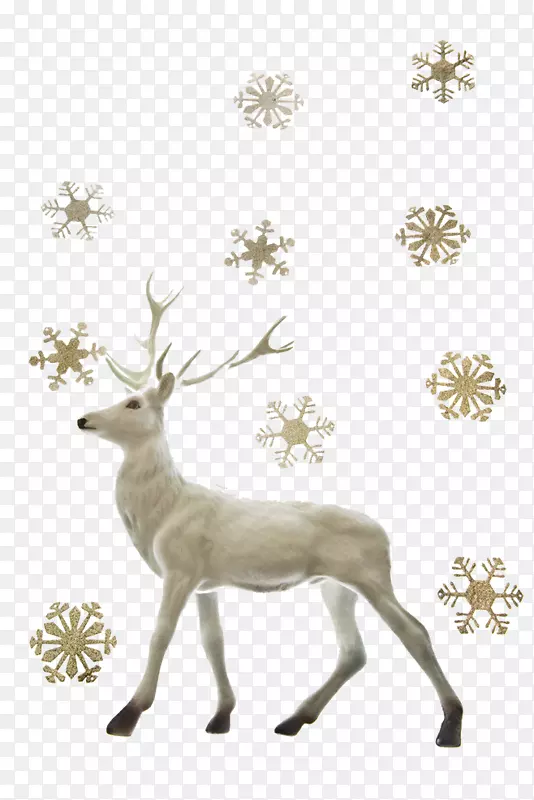有雪影响的驯鹿圣诞老人圣诞鹿