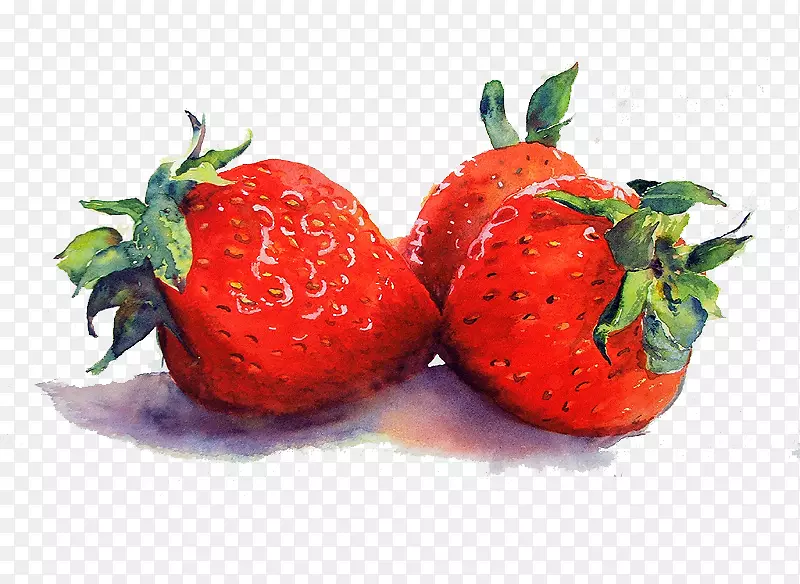 水彩静物郁金香瓶水彩画-草莓