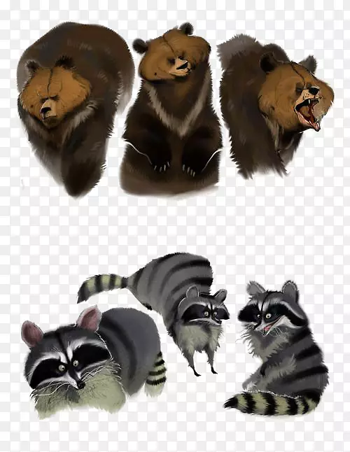 浣熊模型板熊素描熊和浣熊