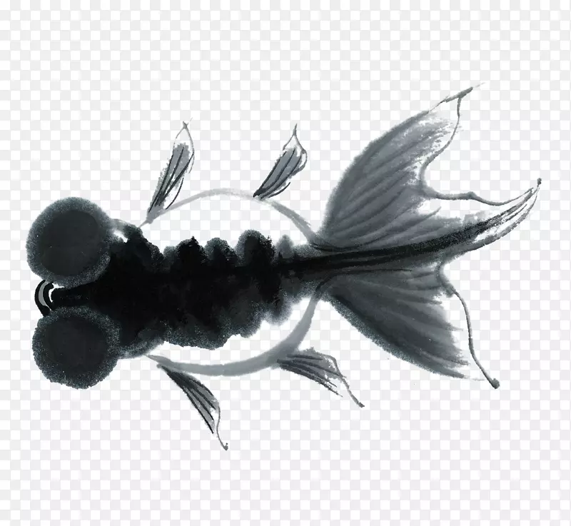 鲫鱼水墨画下载-鱼