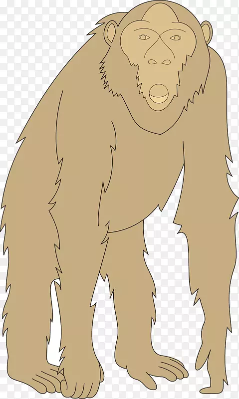 猩猩人类插图-棕色猩猩