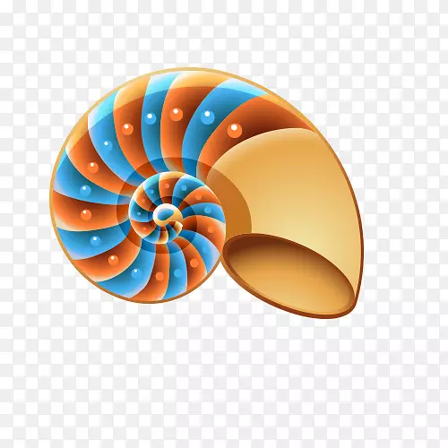 贝壳夹艺术.海螺