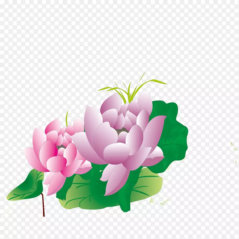 花卉设计下载电脑文件-莲花无花果。