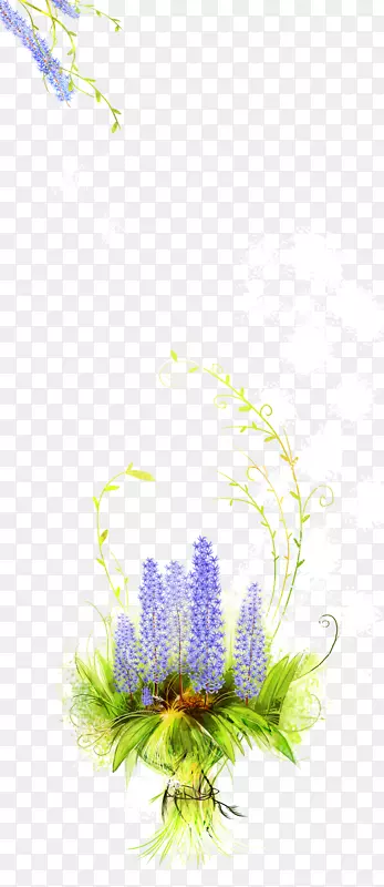 花卉设计紫色薰衣草花壁纸-薰衣草花束