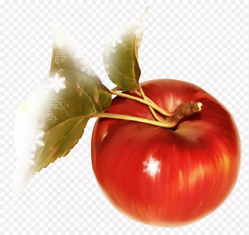 苹果番茄果奥格里斯剪贴画-红苹果
