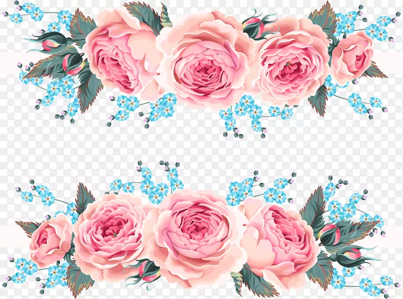 花园玫瑰沙滩玫瑰粉红色-美丽的玫瑰邀请设计材料