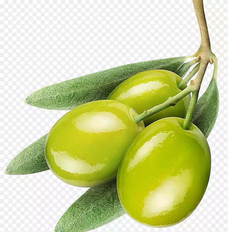 橄榄油-创造绿色橄榄油