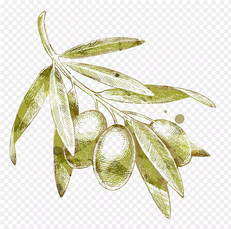 橄榄枝画-黄橄榄