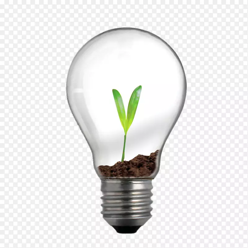 白炽灯灯泡照明创新业务-灯泡厂