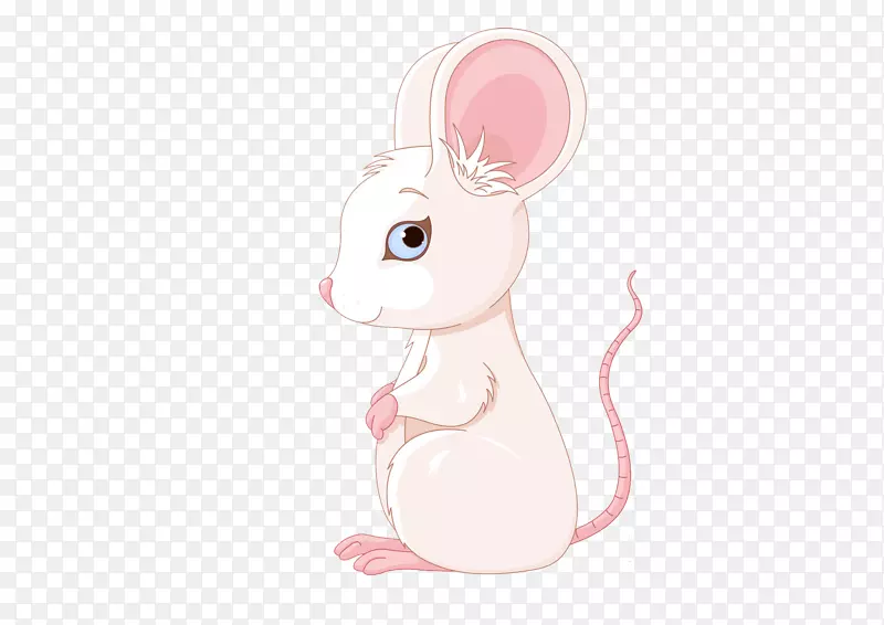 老鼠-可爱的老鼠