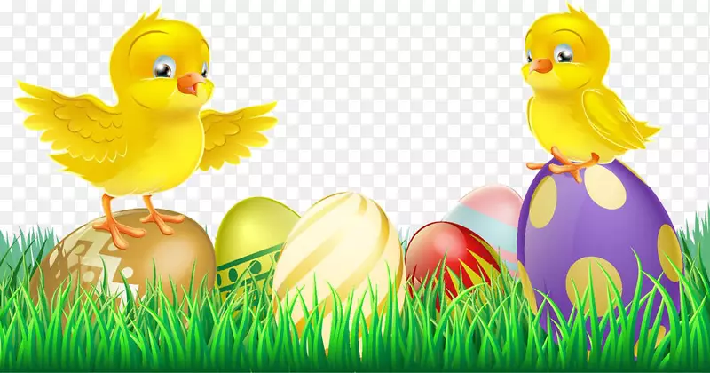 复活节兔鸡插图-卡通彩蛋丛