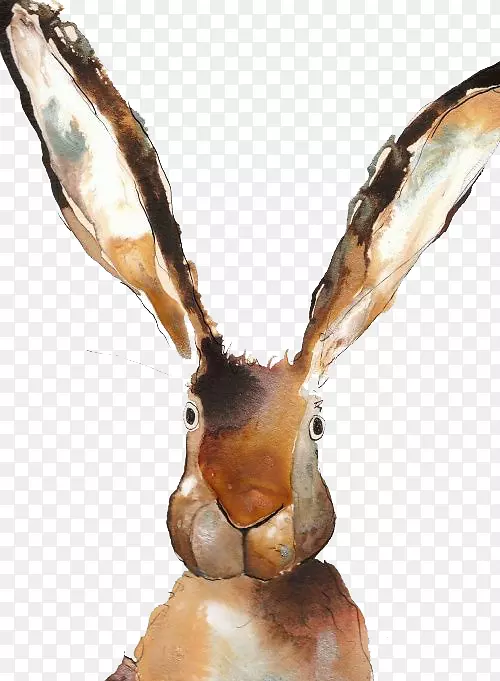 英国所罗门鳄鱼臭味路易绘棕色兔子