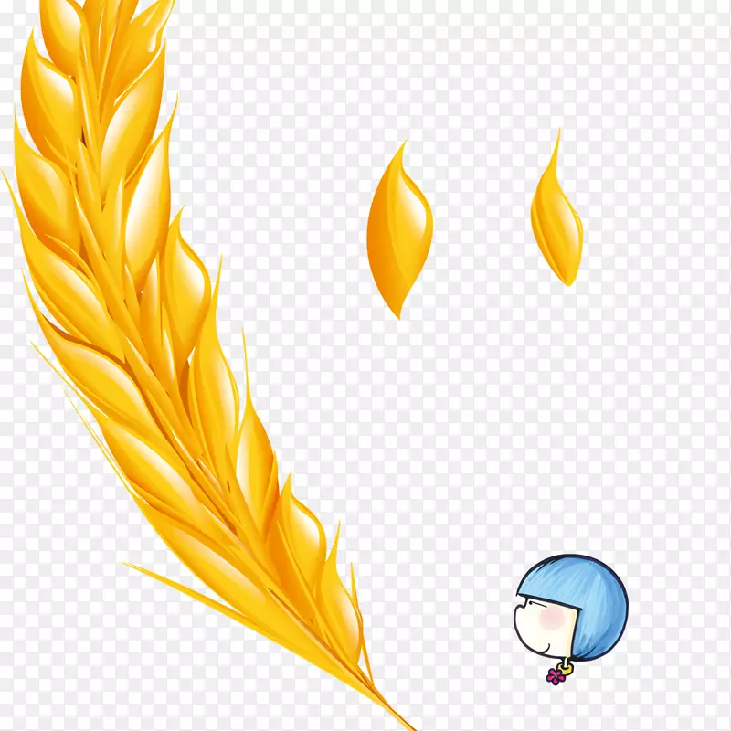 金黄小麦