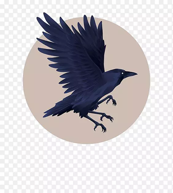 图形设计小乌鸦插图-蓝色乌鸦