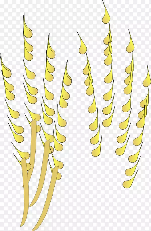 麦谷片剪贴画-黄金小麦
