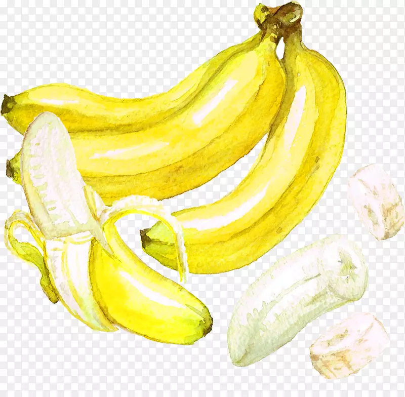 啤酒香蕉水彩画-香蕉