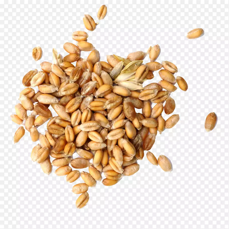 谷类胚芽小麦粒-小麦粒