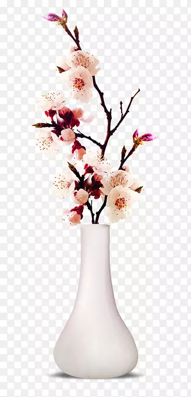花瓶粉红花房-风桃花花瓶