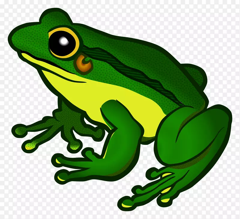 青蛙可伸缩图形剪辑艺术青蛙透明背景
