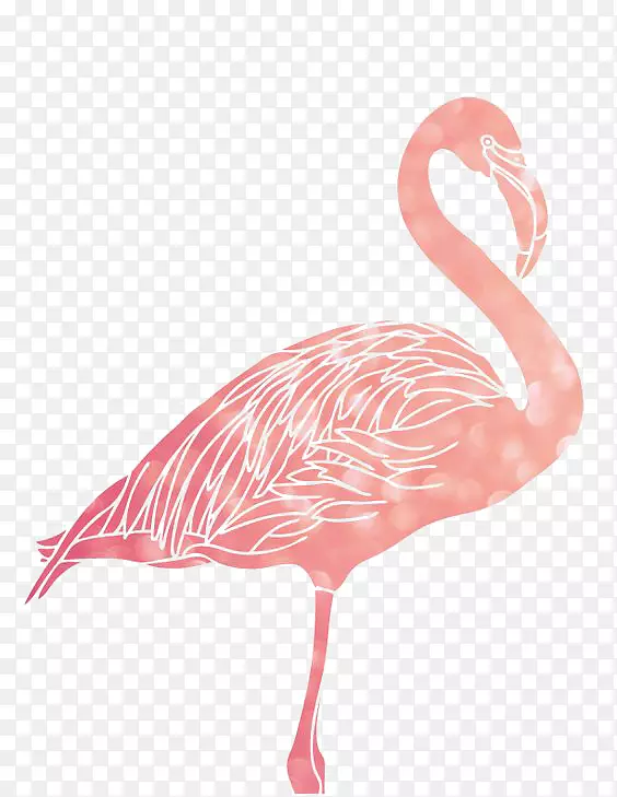 Flamingo 1080 p壁纸-火烈鸟