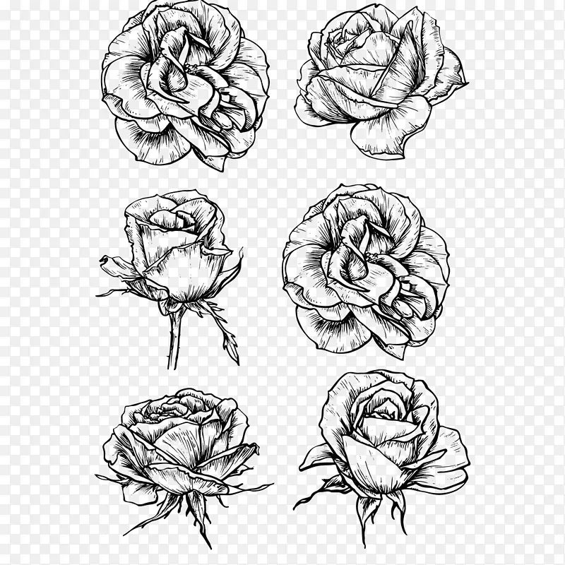 玫瑰花素描-黑白玫瑰素描