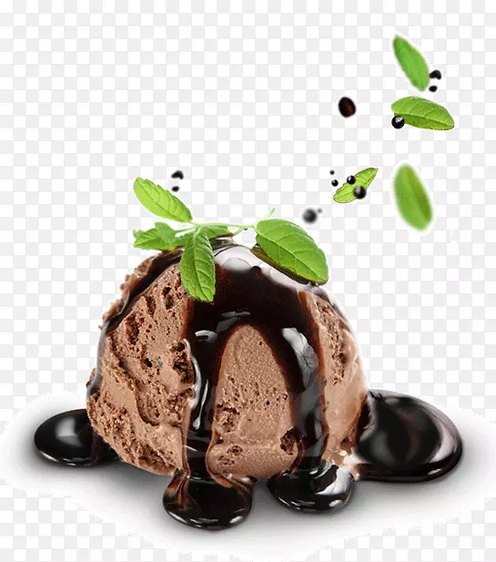 巧克力冰淇淋勺冰淇淋-巧克力冰淇淋