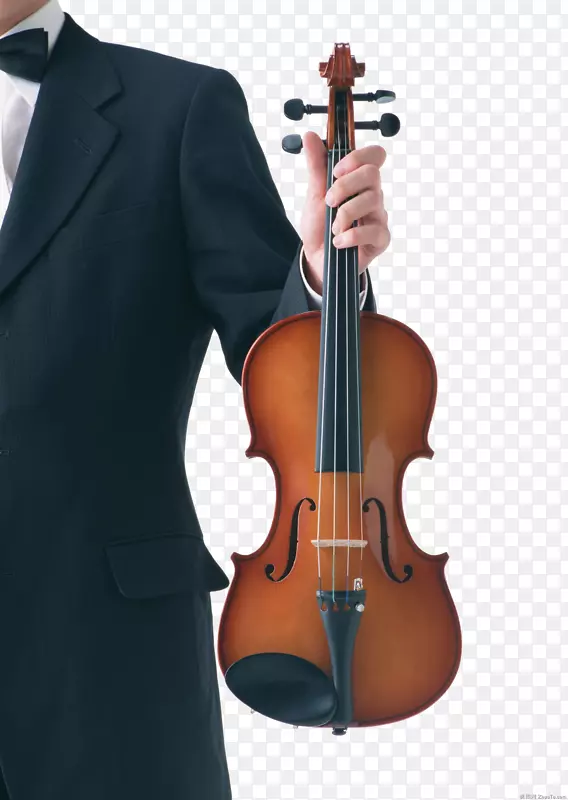 小提琴弓中提琴大提琴弦小提琴与人