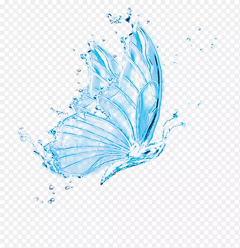 下载水-美丽的蝴蝶水舞蹈单曲