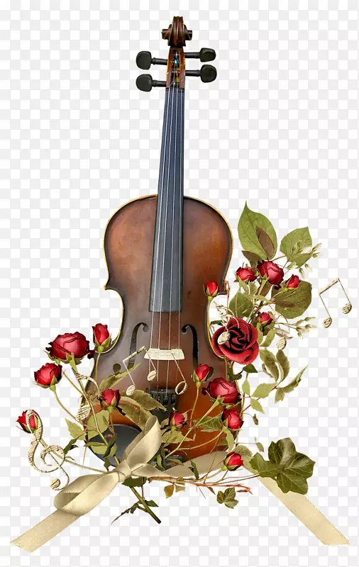 小提琴弓乐器大提琴弦小提琴和鲜花