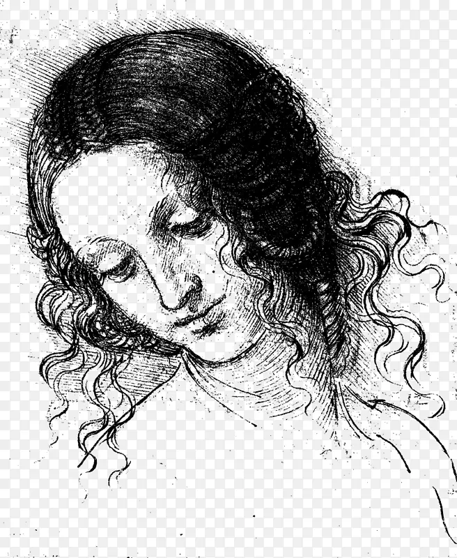 莱昂纳多·达·芬奇·拉贝尔·费伦尼克斯的一位妇女的头像，图中是一个穿着红色粉笔的男人的头像，勒达和天鹅女神的脸。