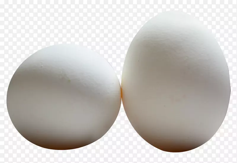 蛋
