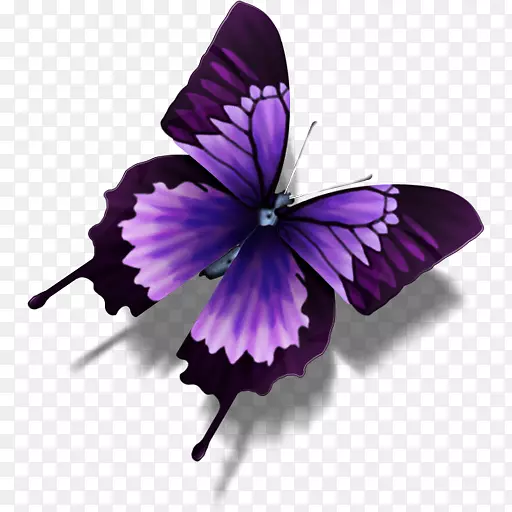 蝴蝶紫色图标-紫色蝴蝶PNG图像