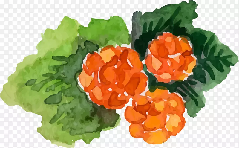 弗鲁蒂·迪·波斯科图标-手绘水彩浆果