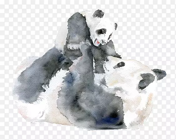 大熊猫水彩画婴儿妈妈-熊猫