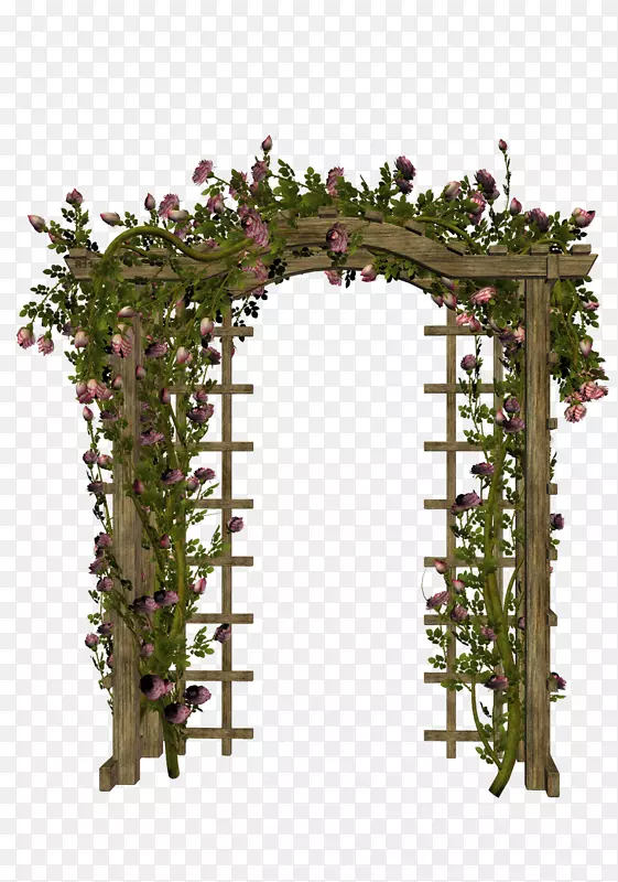 拱形夹艺术-玫瑰门