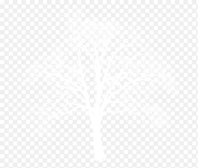黑白线角点-白雪枯树